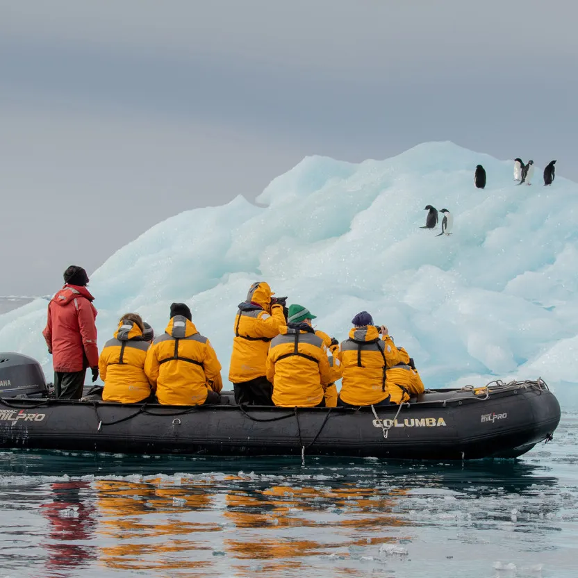 Zodiac cruising