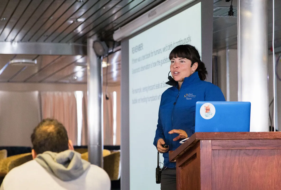 Presentation on board