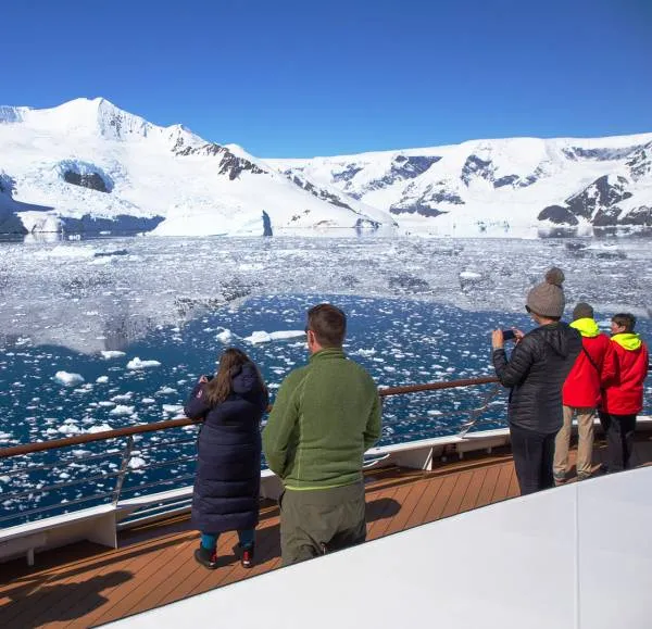 Whales