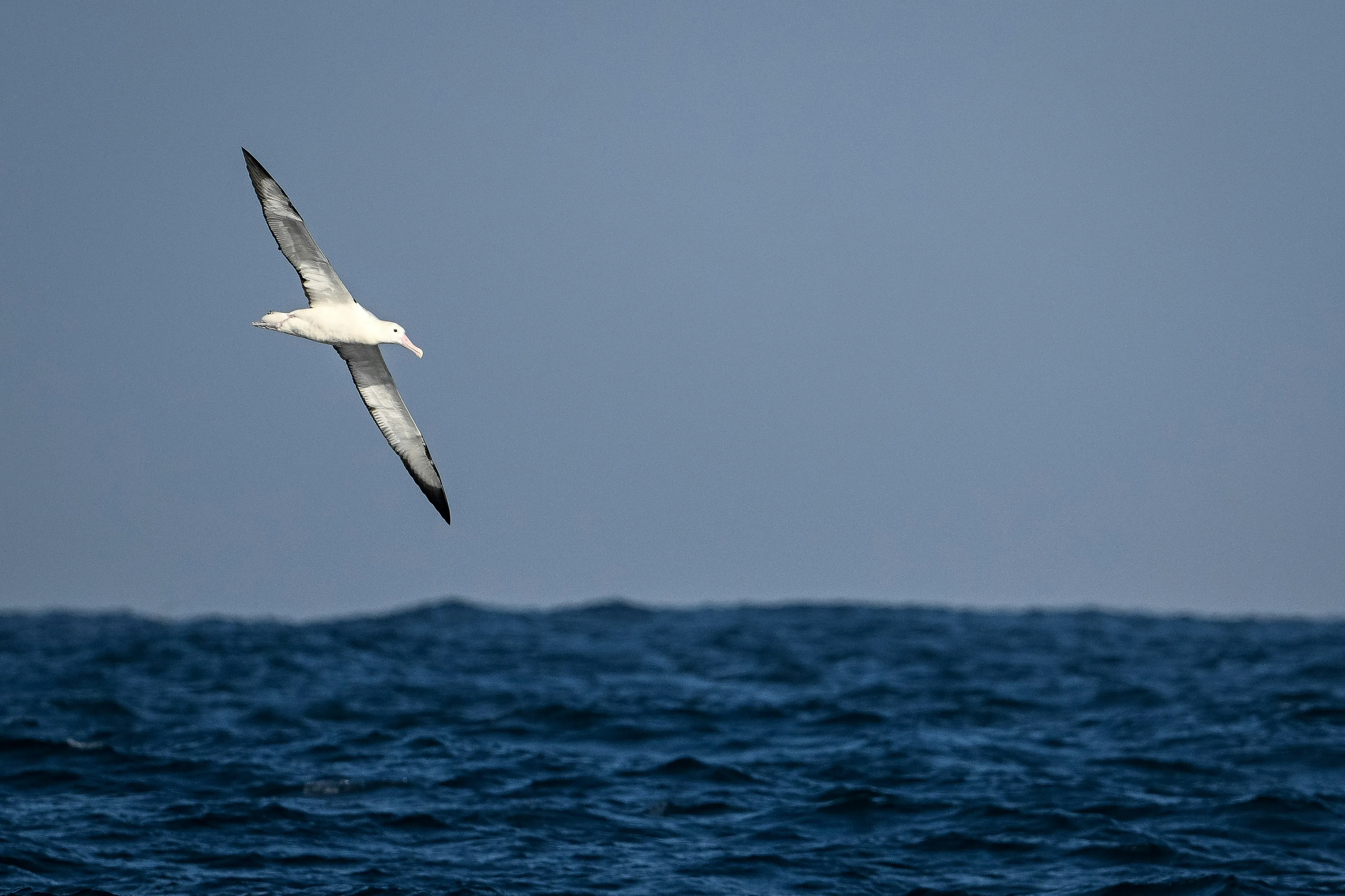 Drake Passage