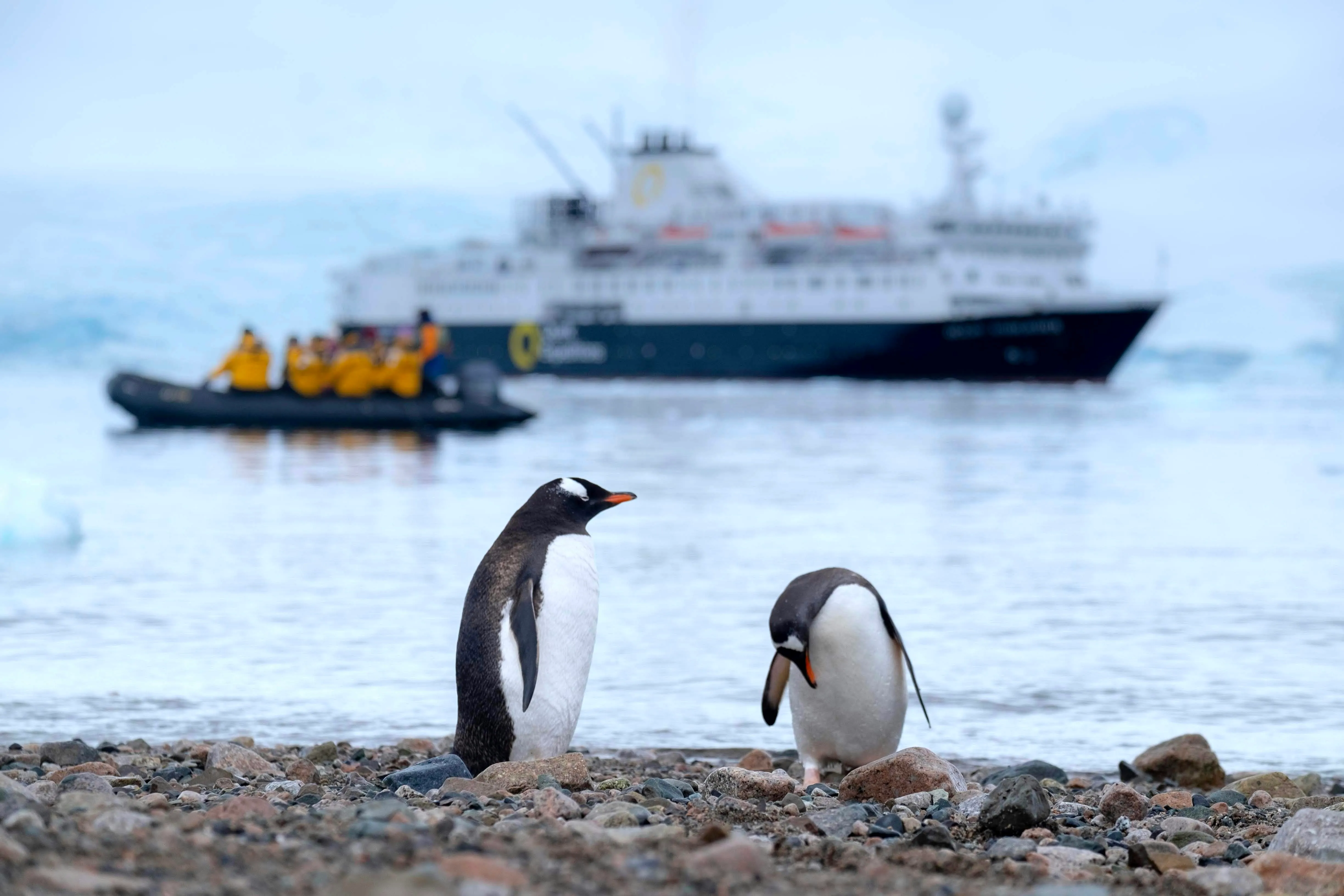 Antarctic Peninsula