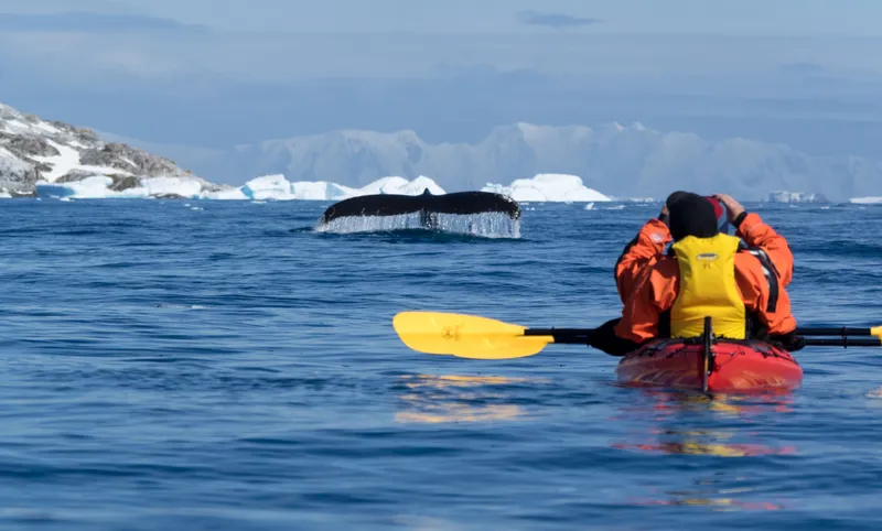 Kayaking near the Peninsula