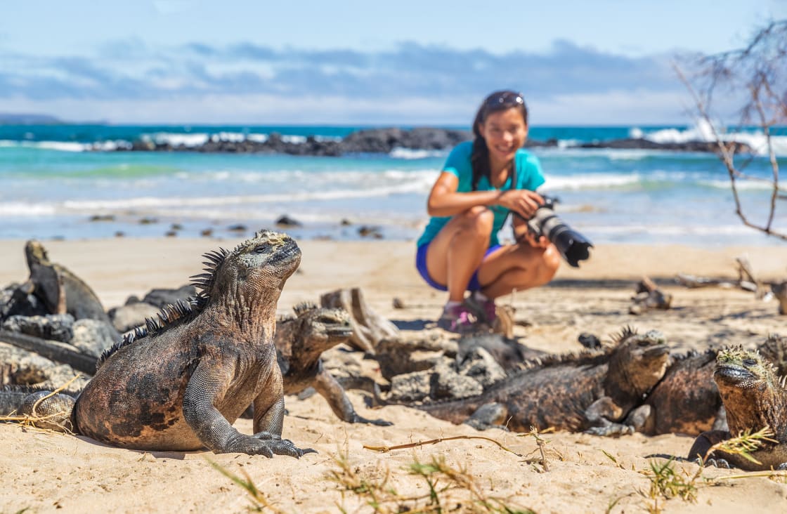 Galápagos - photographer with marine iguanas on the beach